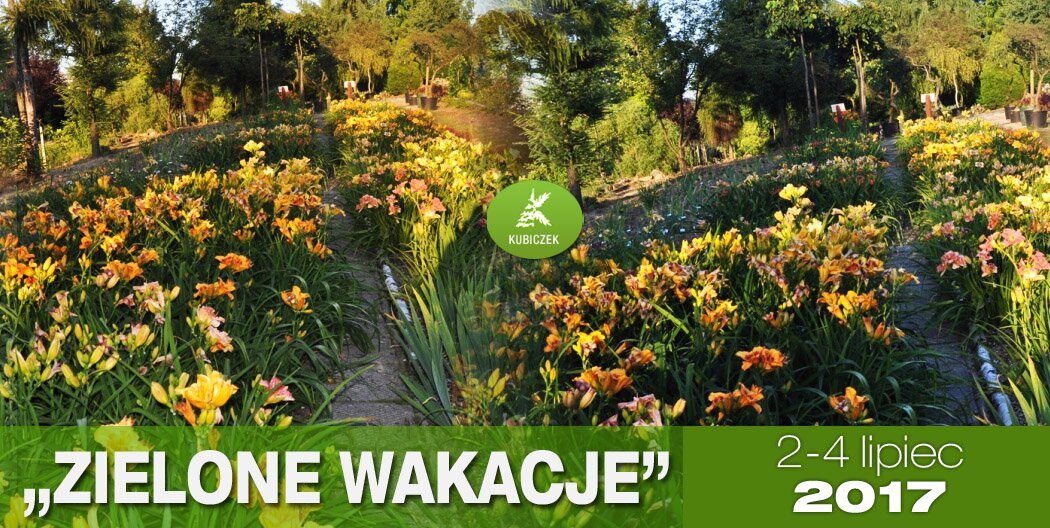 Zielone Wakacje 2-4 lipca 2017